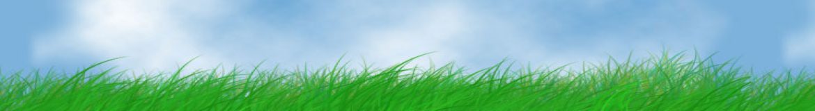 cropped-thegreen.jpg